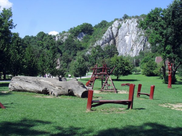SDC16659