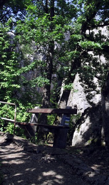 SDC16677