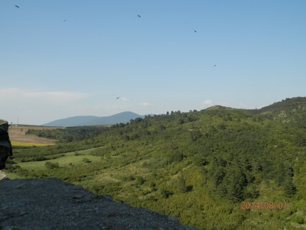 lLilafüred,Boldogkőváralja 106