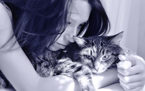 Kép forrás: http://wall.alphacoders.com