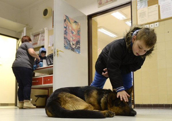 Kép forrása: 24.hu