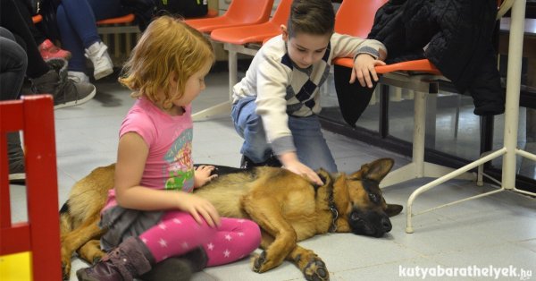 Kép forrása: kutyabarathelyek.hu