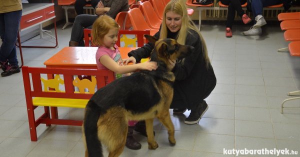 Kép forrása: kutyabarathelyek.hu